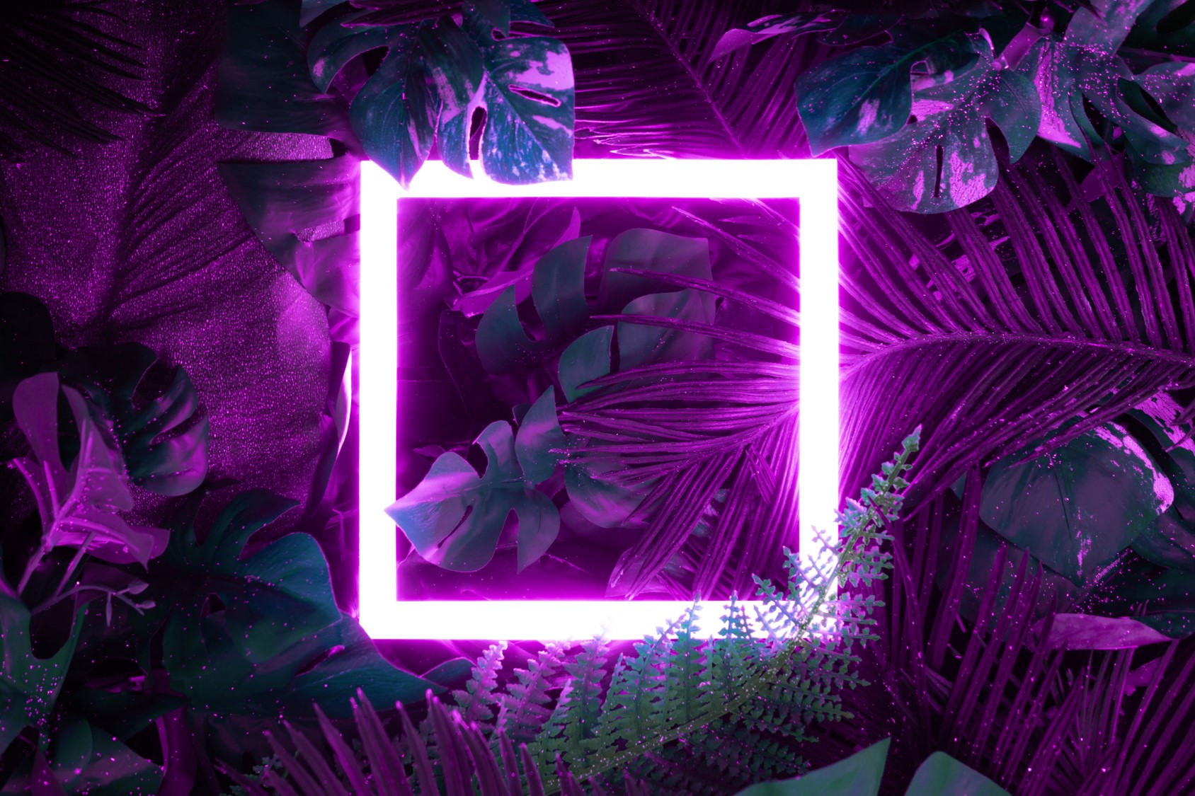 illustration article social media carré violet